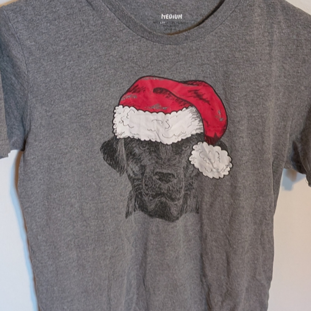 Gray T-Shirt with Red Santa Hat Graphic